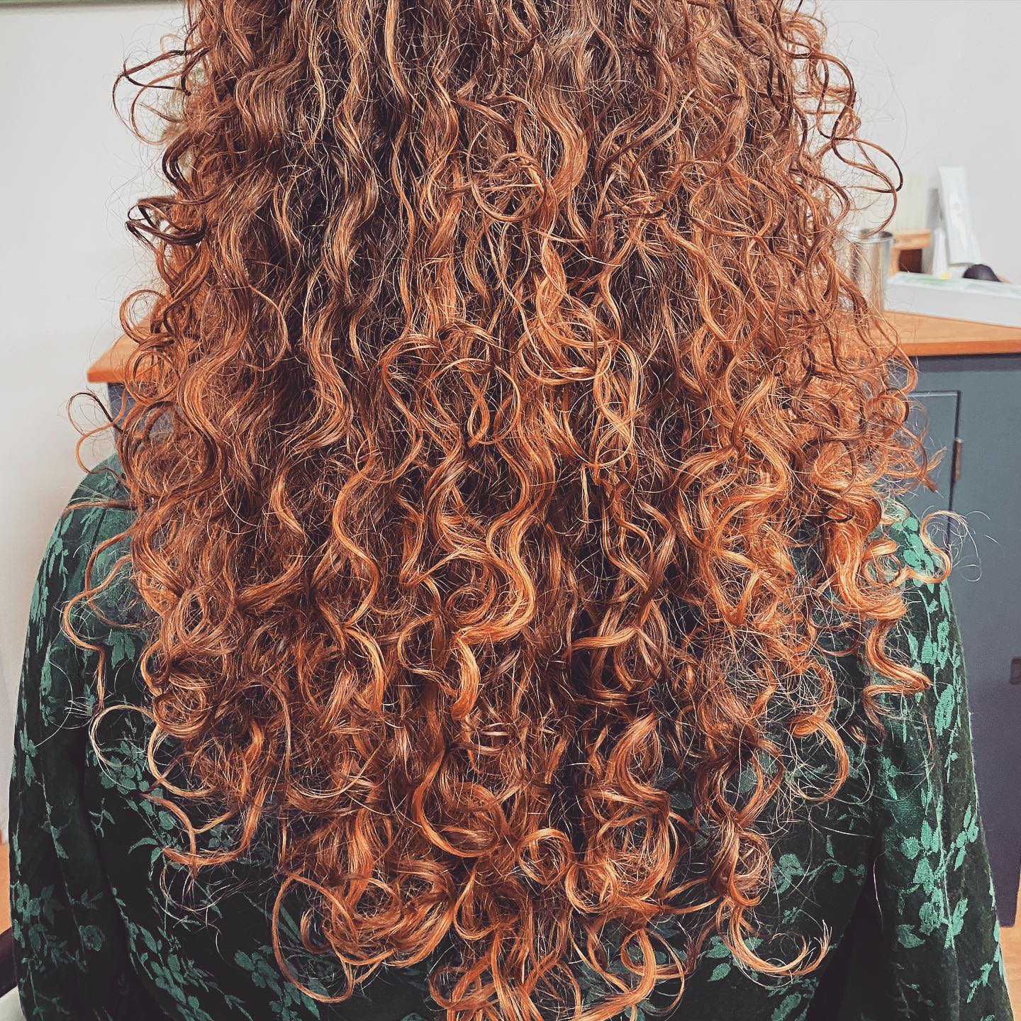 A photo of the back of a woman\x27s head. Her hair is ginger and very curly.